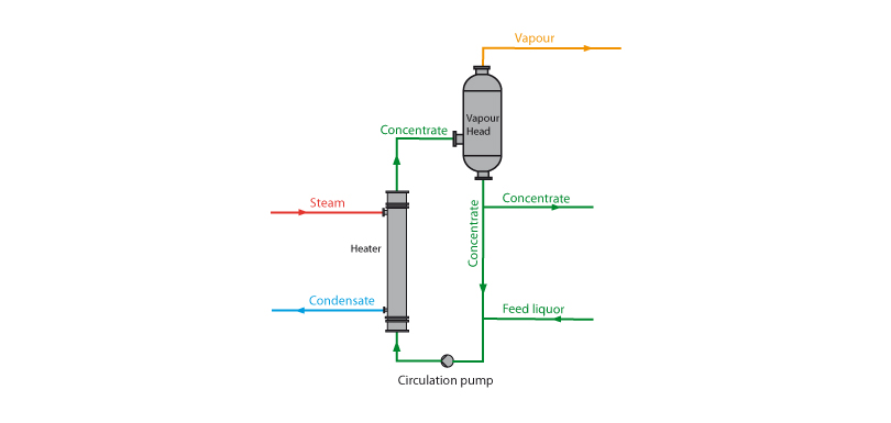 Forced Circulation Evaporator